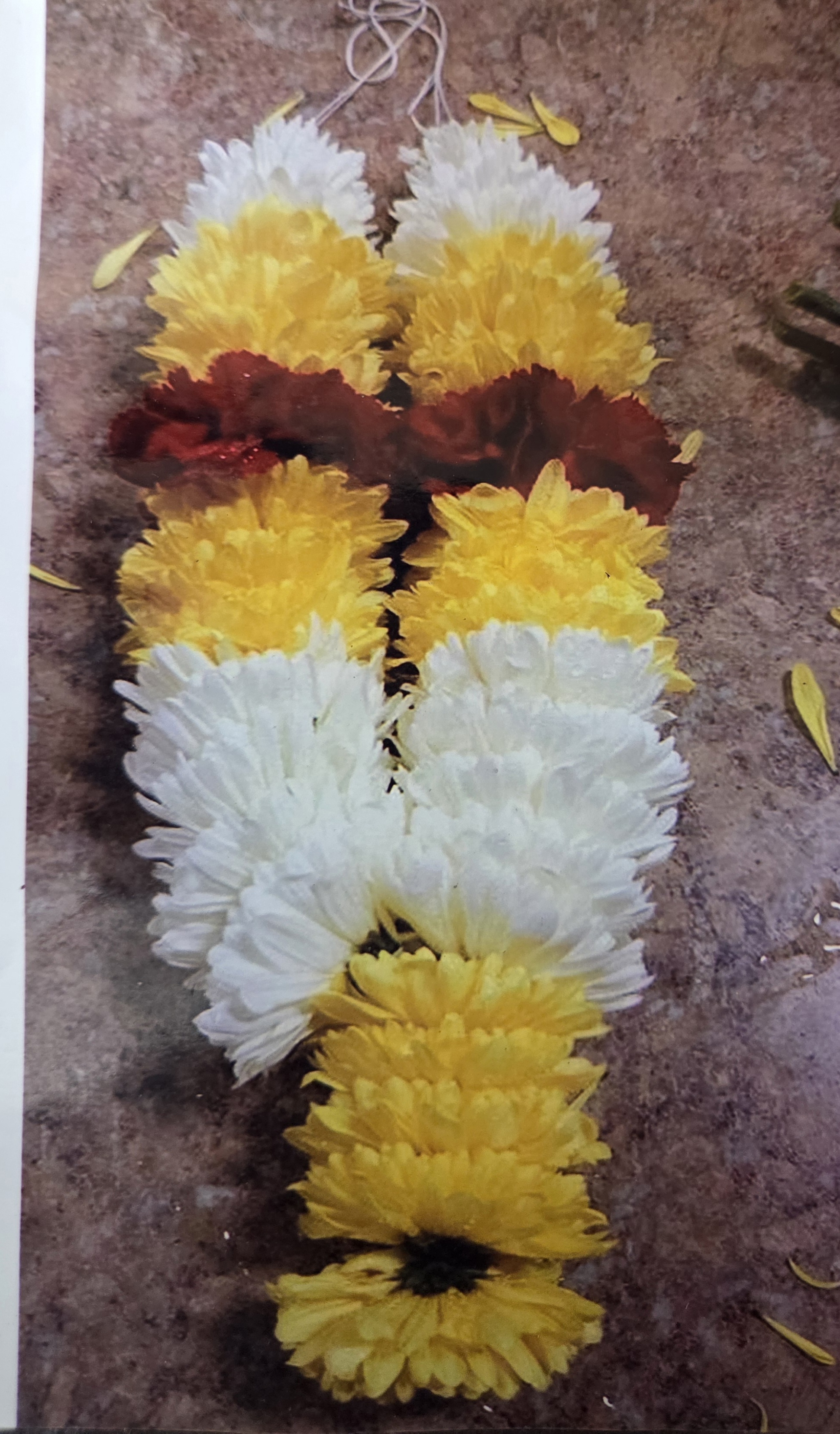 Single Mums Carnation Garlands