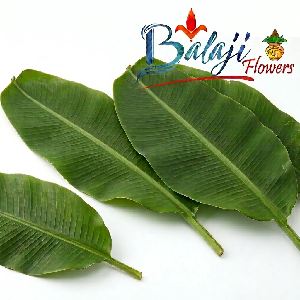 Banana Leaves
