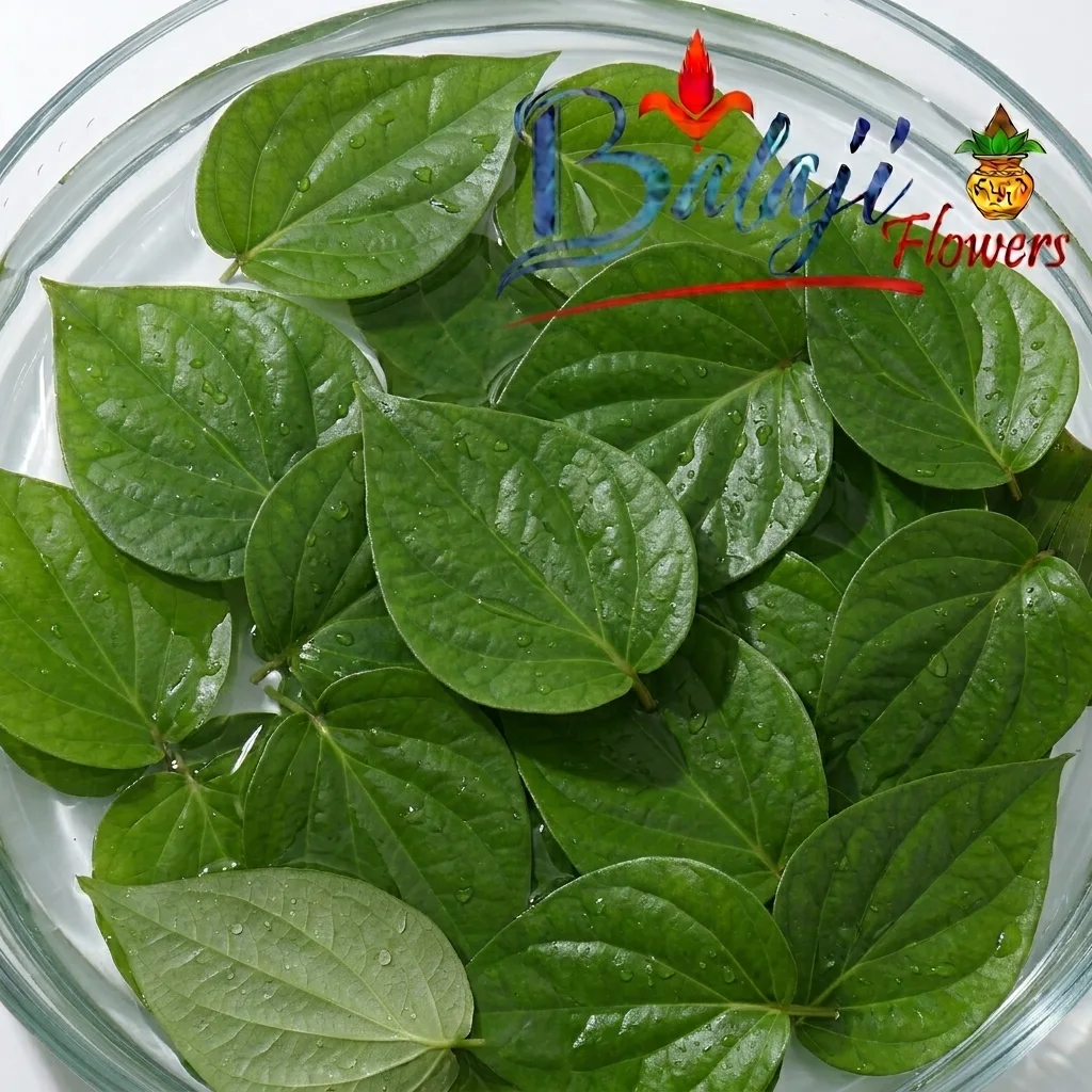 Betel/Pan Leaves