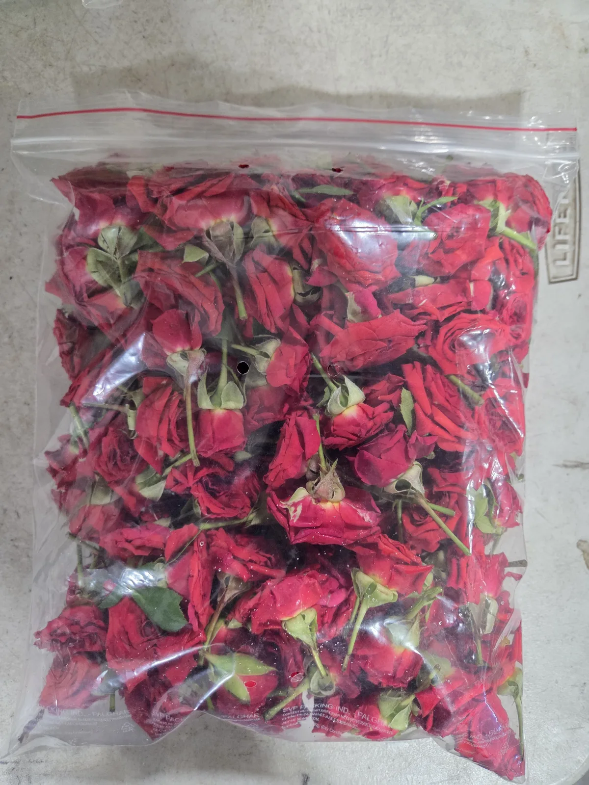 Button Roses Big