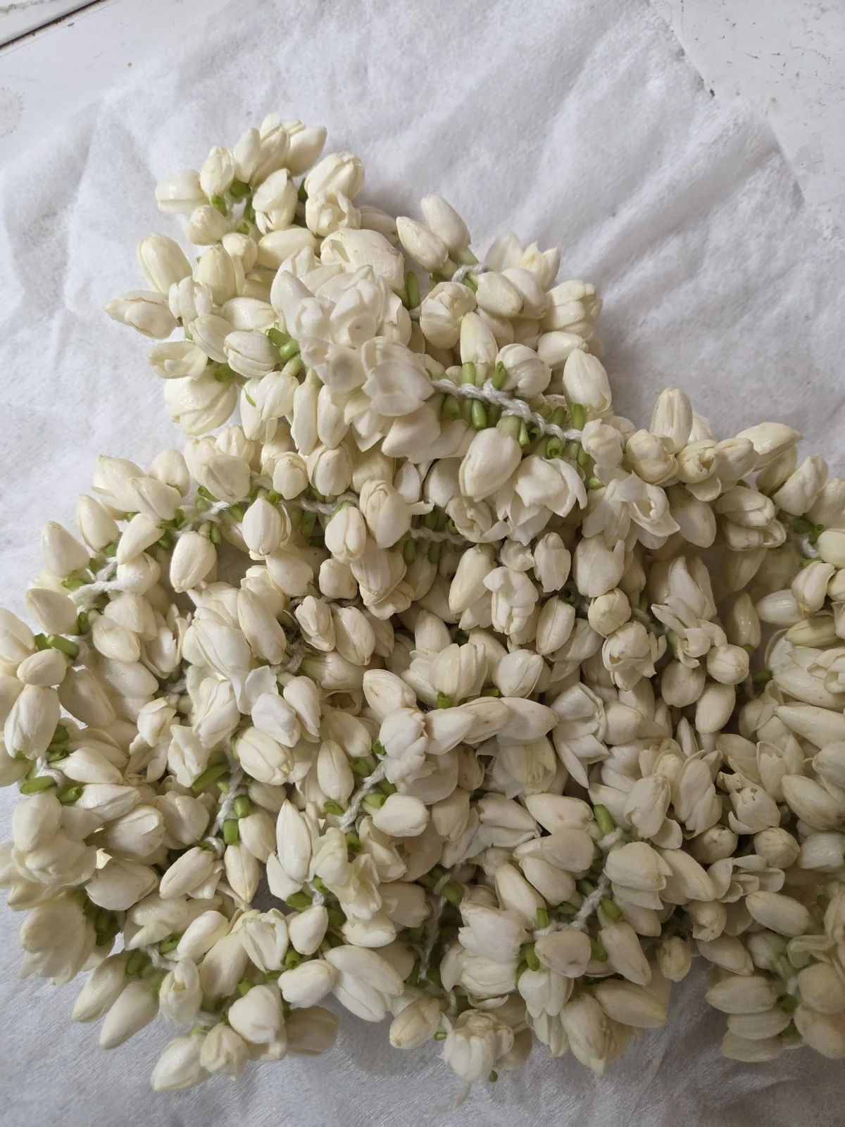 Jasmine String Box