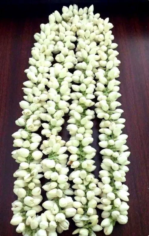 Jasmine String Box