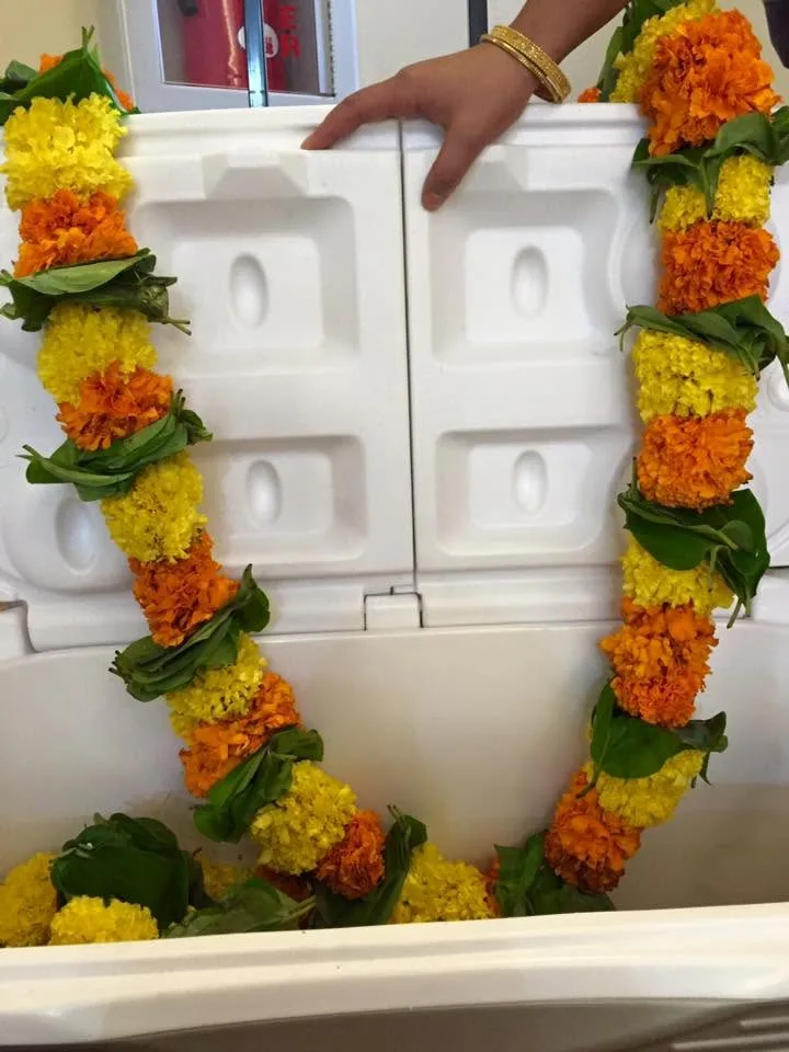 Marigold Mango leaves Strings