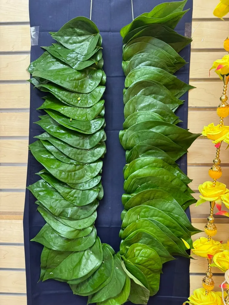 Pan Leaves Strings