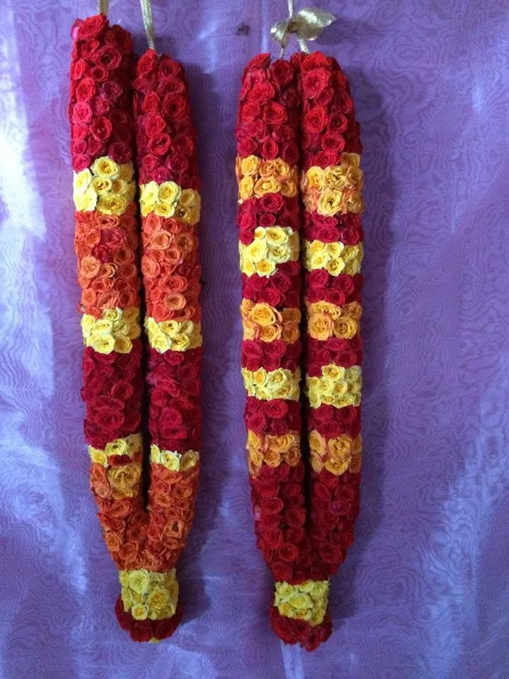 Rose Strings