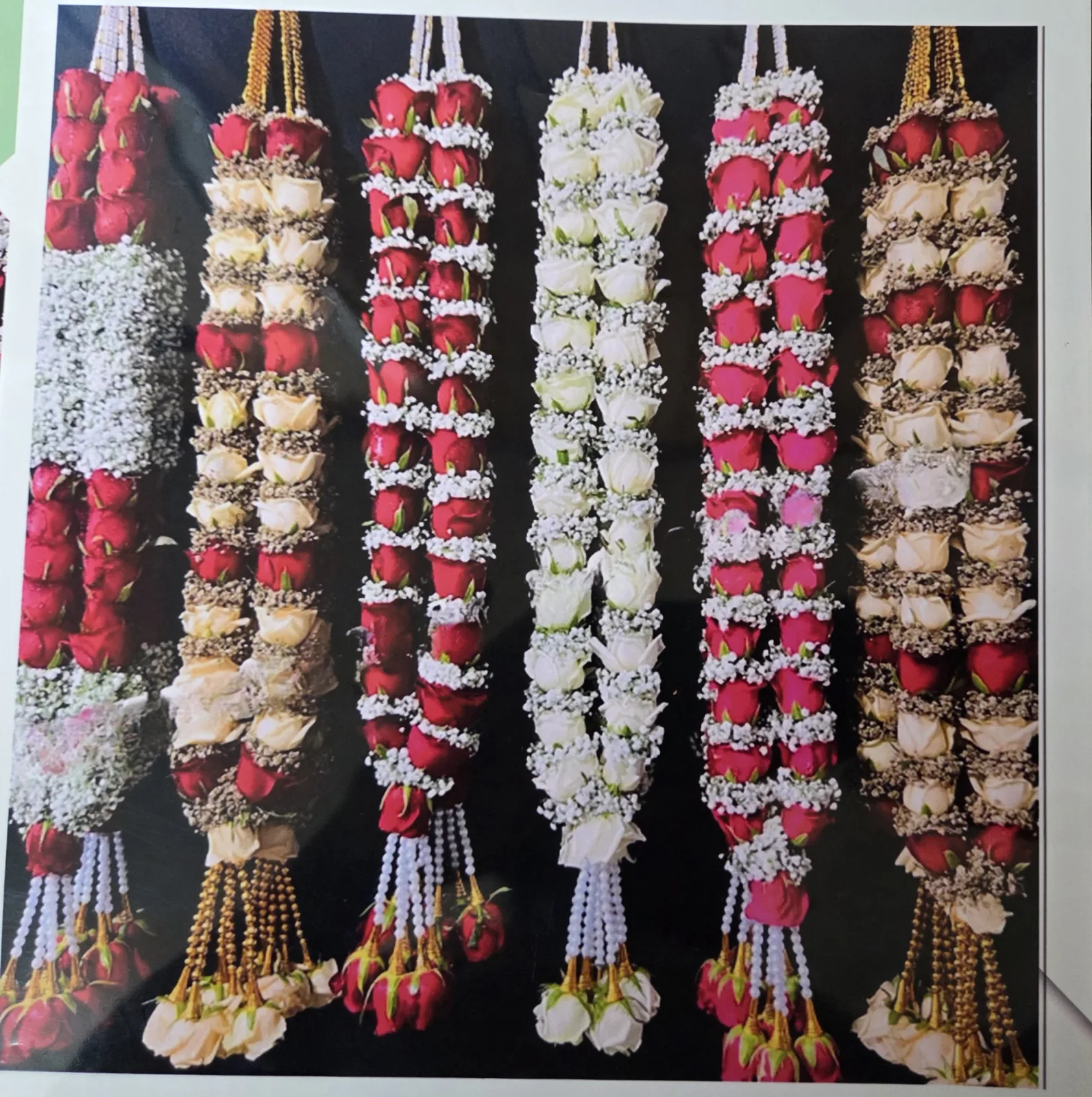 Roses Babybreath Garlands